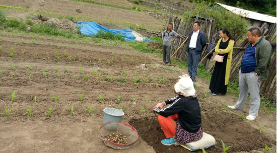 靖宇县林业局引导村民发展贝母种植助贫困户增收