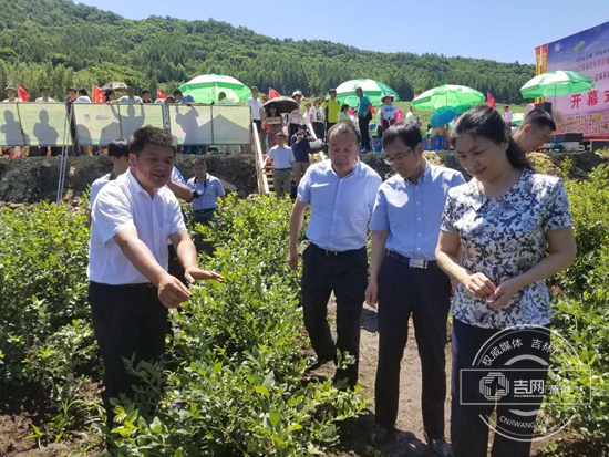 江源区启动建设国家蓝莓种植与加工标准化示范区项目