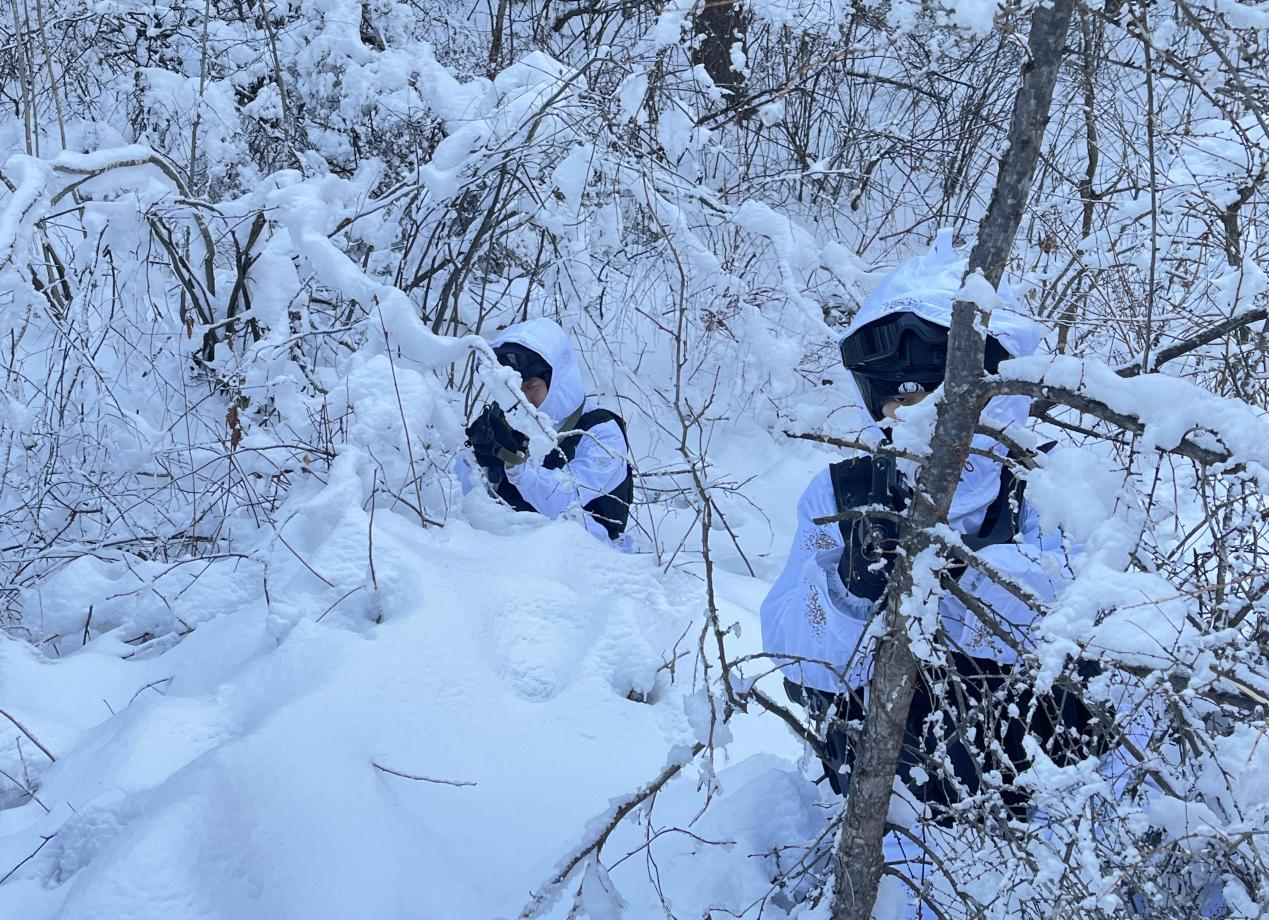 图片1.png 图片1.png