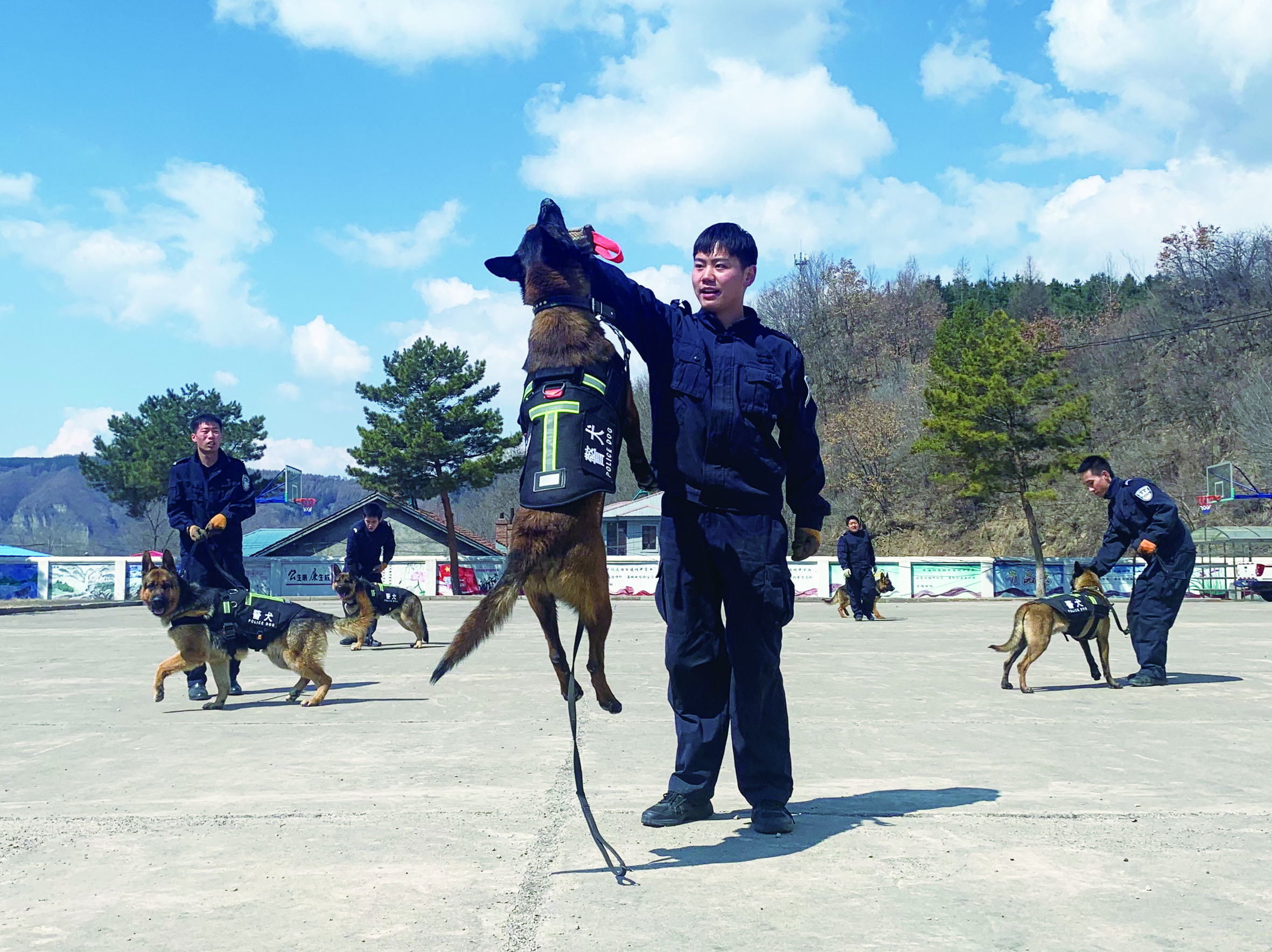 白山边境地区成立缉毒防暴警犬队